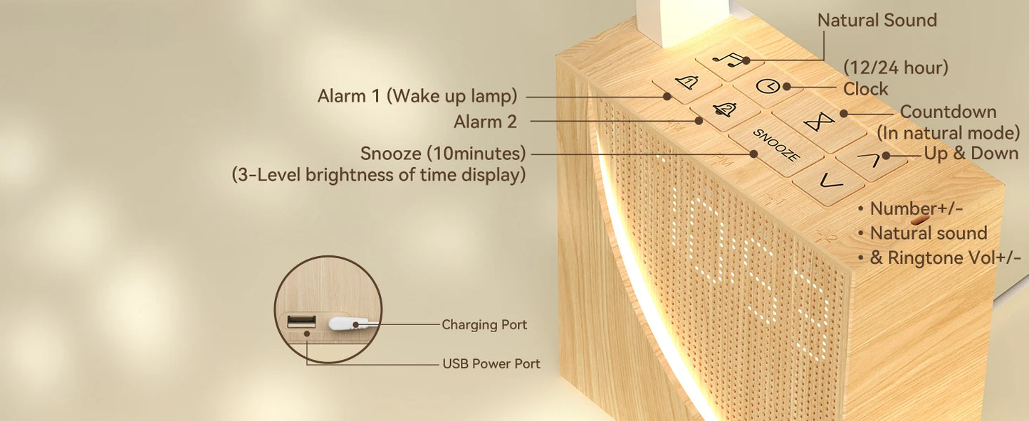 DayBreak gradual wake alarm clock
